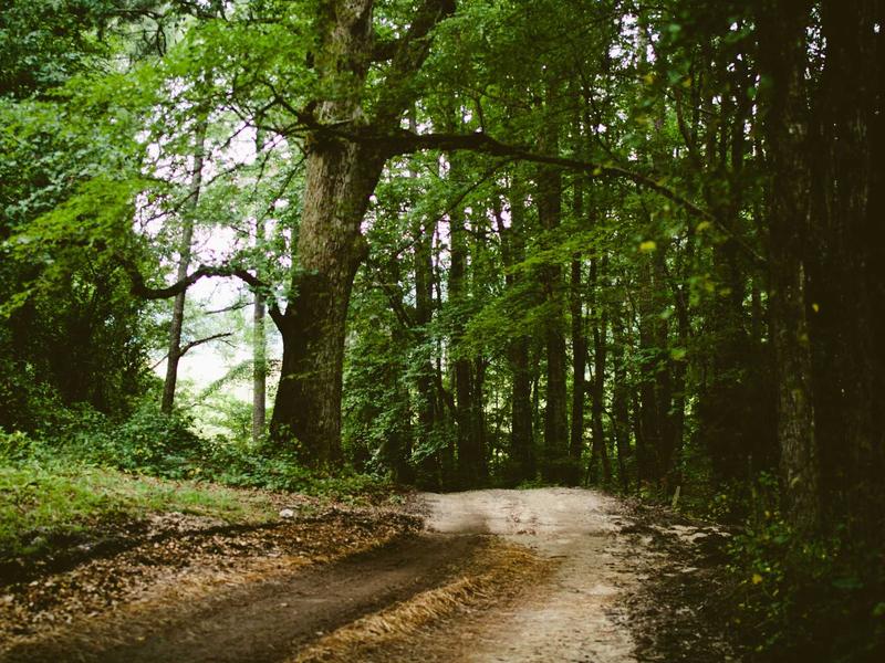 sudoku achievement badge screenshot 4